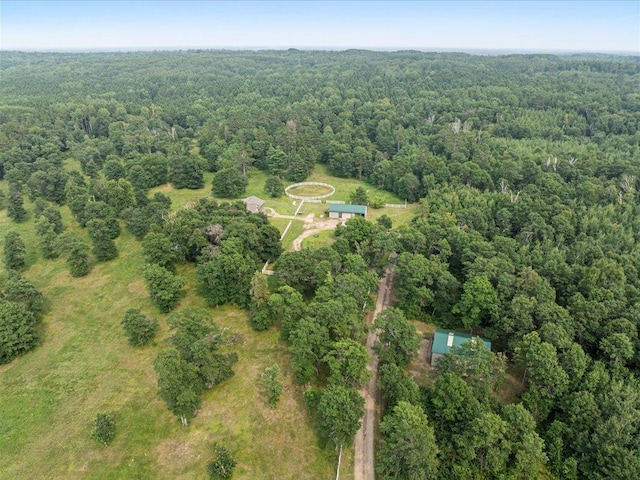 34358 Peoria Rd, Pequot Lakes, MN 56472 - photo 48