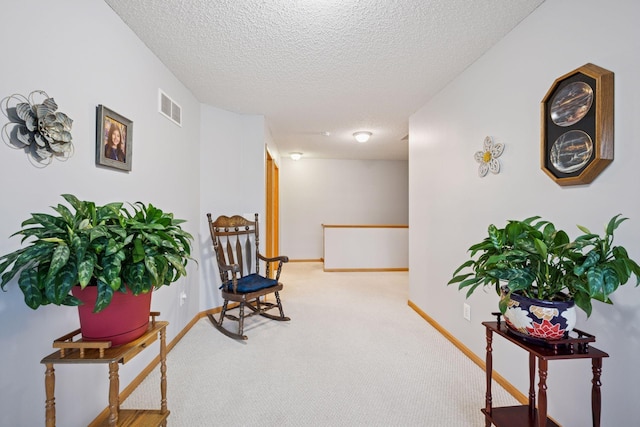 7024 139th Ave NW, Ramsey, MN 55303 - photo 15