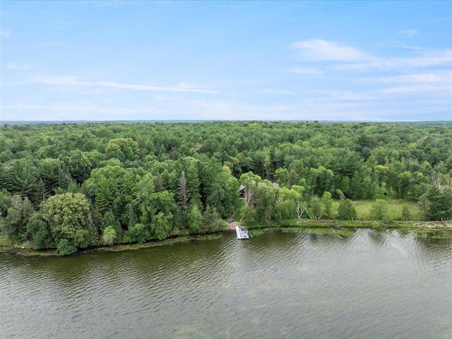 10030 Starlite Trl NW, Leech Lake Twp, MN 56484 - photo 2