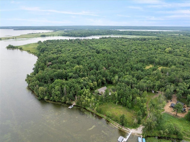 10030 Starlite Trl NW, Leech Lake Twp, MN 56484 - photo 43