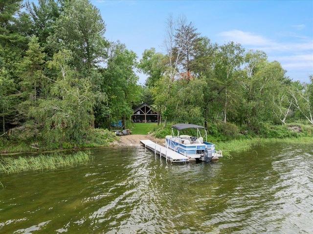10030 Starlite Trl NW, Leech Lake Twp, MN 56484 - photo 46