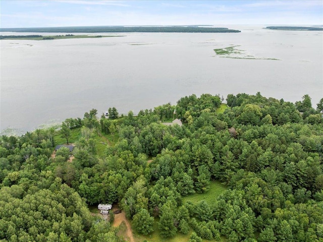10030 Starlite Trl NW, Leech Lake Twp, MN 56484 - photo 48