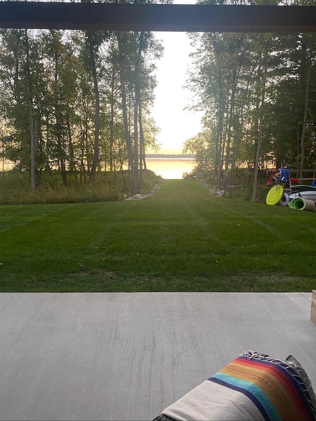 10030 Starlite Trl NW, Leech Lake Twp, MN 56484 - photo 59