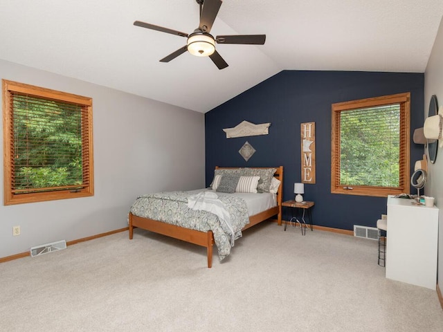 3882 Chippewa Rd, Medina, MN 55357 - photo 24