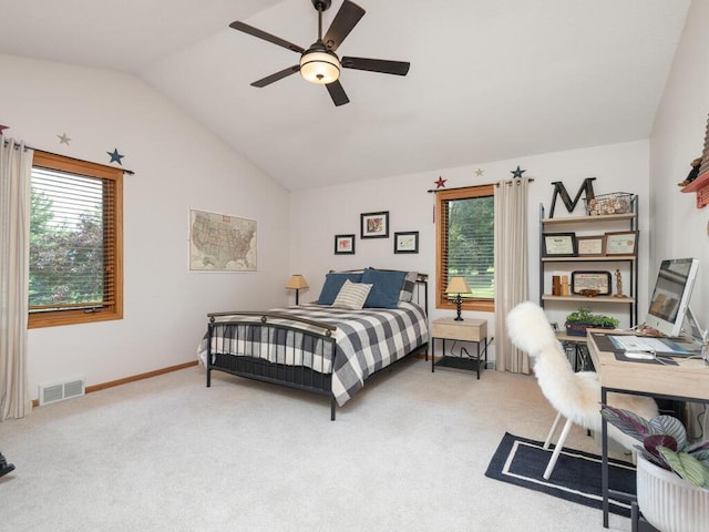 3882 Chippewa Rd, Medina, MN 55357 - photo 25