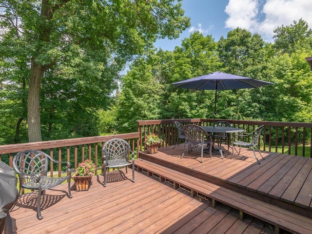3882 Chippewa Rd, Medina, MN 55357 - photo 40