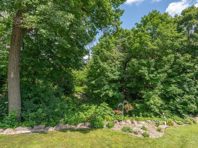 3882 Chippewa Rd, Medina, MN 55357 - photo 41