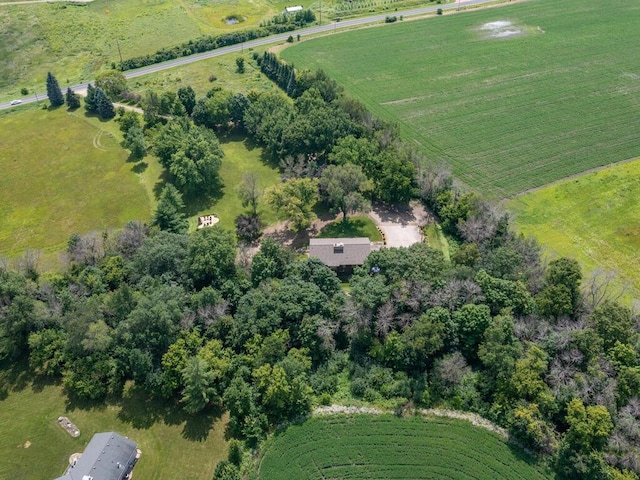 3882 Chippewa Rd, Medina, MN 55357 - photo 44