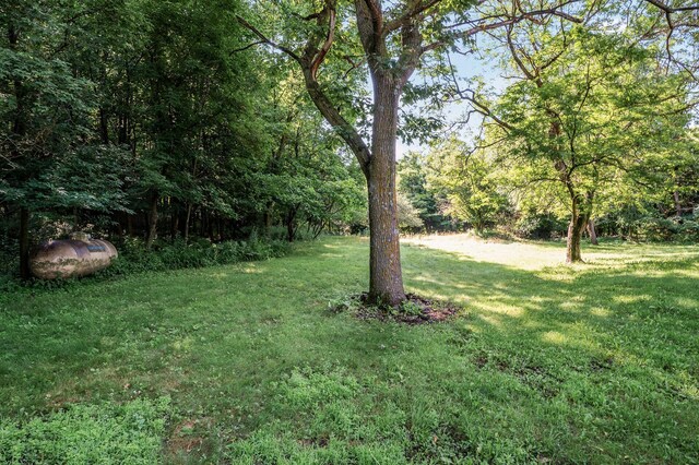N8018 747th St, River Falls, WI 54022 - photo 43