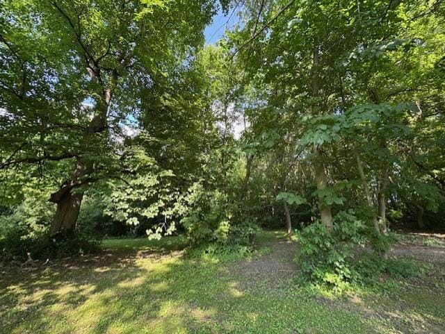 16334 373rd St, Amador Twp, MN 55084 - photo 31
