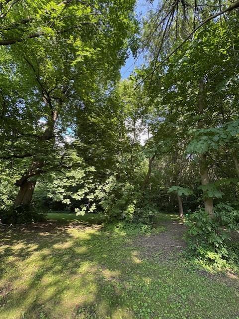 16334 373rd St, Amador Twp, MN 55084 - photo 32