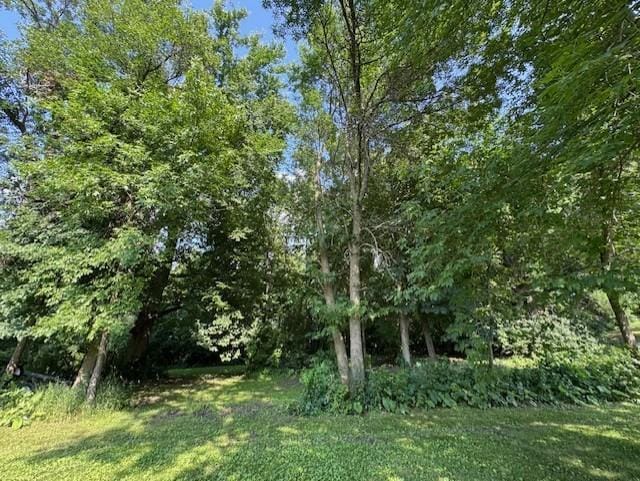 16334 373rd St, Amador Twp, MN 55084 - photo 33