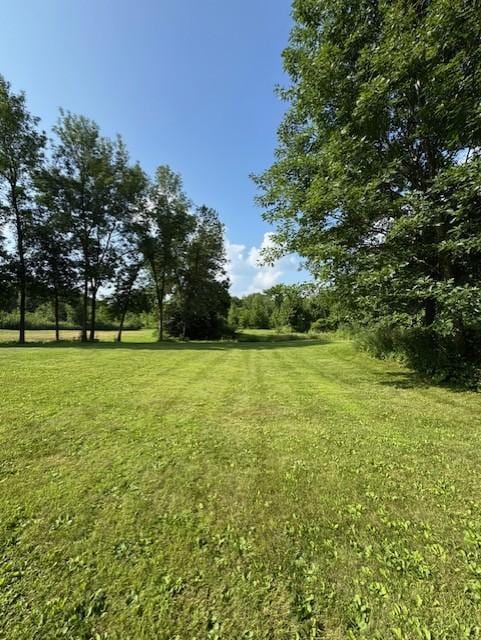16334 373rd St, Amador Twp, MN 55084 - photo 34