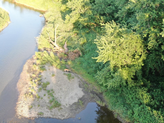 TBD 75th St NW, New Haven Twp, MN 55920 - photo 7