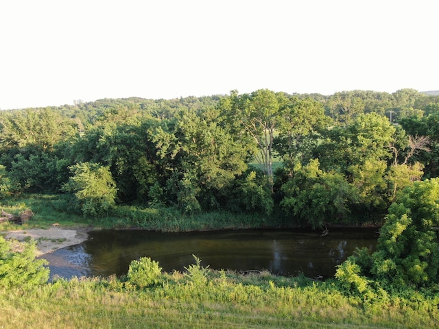TBD 75th St NW, New Haven Twp, MN 55920 - photo 9