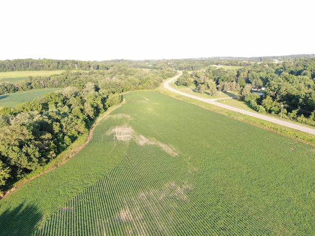 TBD 75th St NW, New Haven Twp, MN 55920 - photo 11