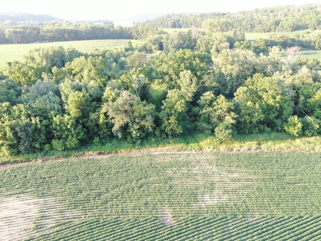 TBD 75th St NW, New Haven Twp, MN 55920 - photo 17