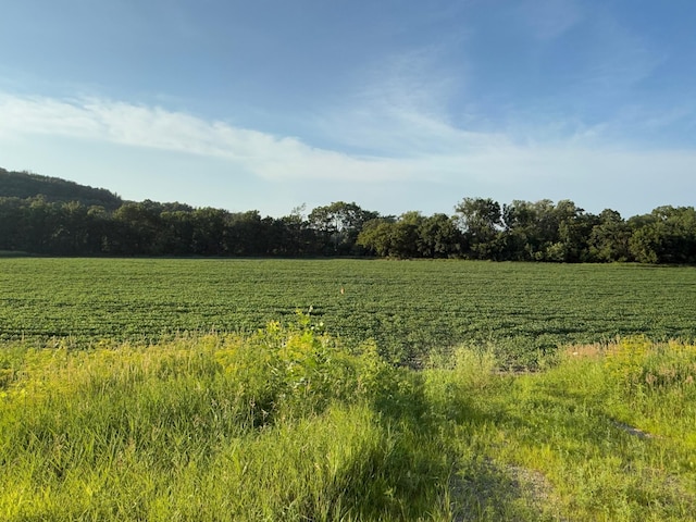 TBD 75th St NW, New Haven Twp, MN 55920 - photo 26