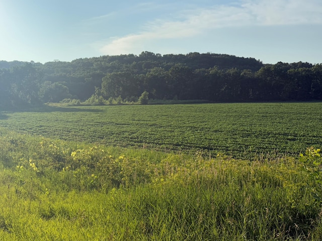 TBD 75th St NW, New Haven Twp, MN 55920 - photo 27