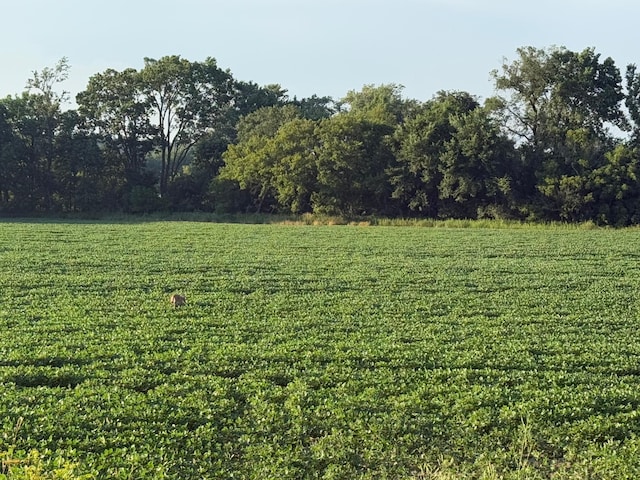 TBD 75th St NW, New Haven Twp, MN 55920 - photo 29
