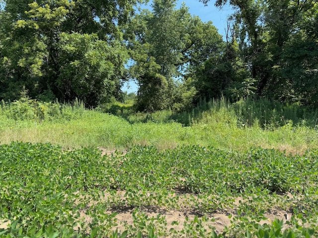 TBD 75th St NW, New Haven Twp, MN 55920 - photo 37