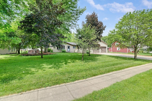 617 1st St N, Waterville, MN 56096 - photo 6