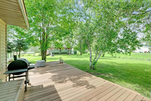 617 1st St N, Waterville, MN 56096 - photo 39