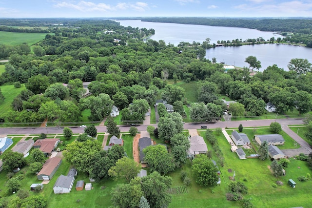 617 1st St N, Waterville, MN 56096 - photo 47