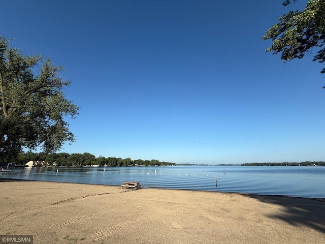 617 1st St N, Waterville, MN 56096 - photo 53