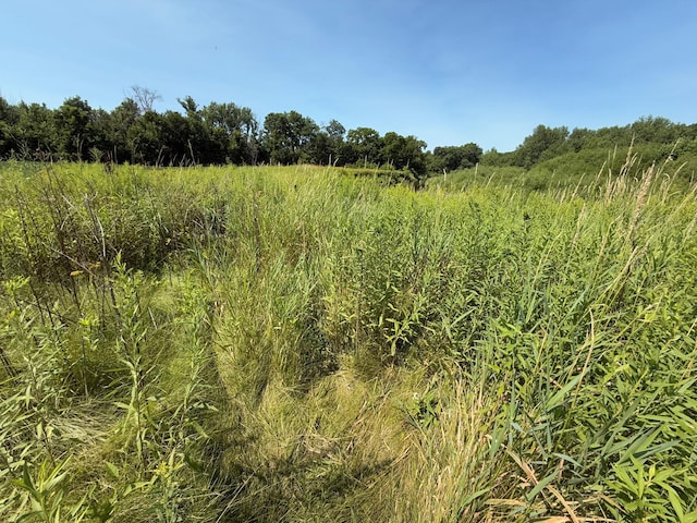 TBD 85th Ave NW, New Haven Twp, MN 55964 - photo 24