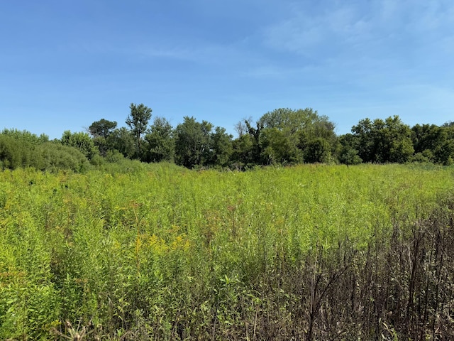 TBD 85th Ave NW, New Haven Twp, MN 55964 - photo 25