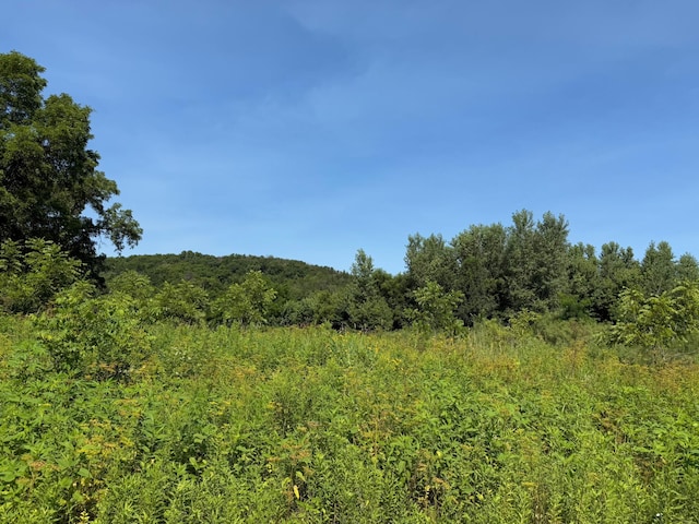 TBD 85th Ave NW, New Haven Twp, MN 55964 - photo 27