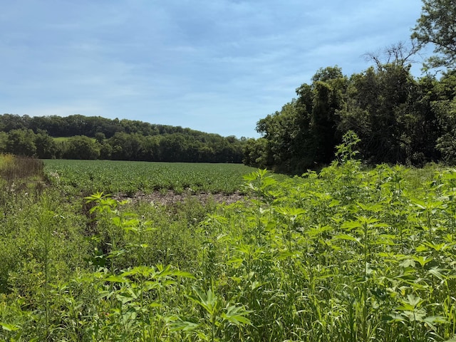 TBD 85th Ave NW, New Haven Twp, MN 55964 - photo 28