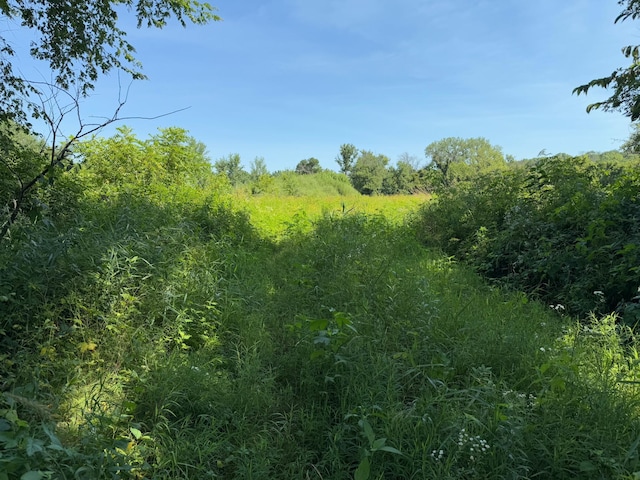 TBD 85th Ave NW, New Haven Twp, MN 55964 - photo 29