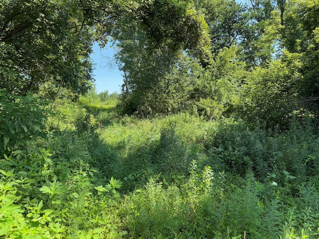 TBD 85th Ave NW, New Haven Twp, MN 55964 - photo 30