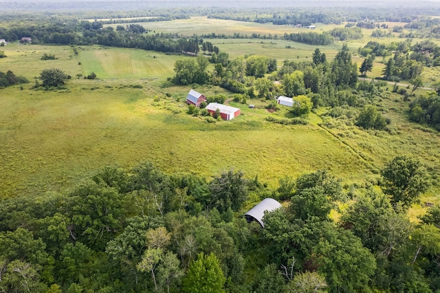 10188 Blueberry Trl, Rushseba Twp, MN 55069 - photo 1