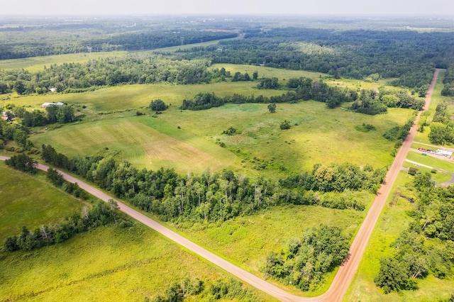 10188 Blueberry Trl, Rushseba Twp, MN 55069 - photo 4