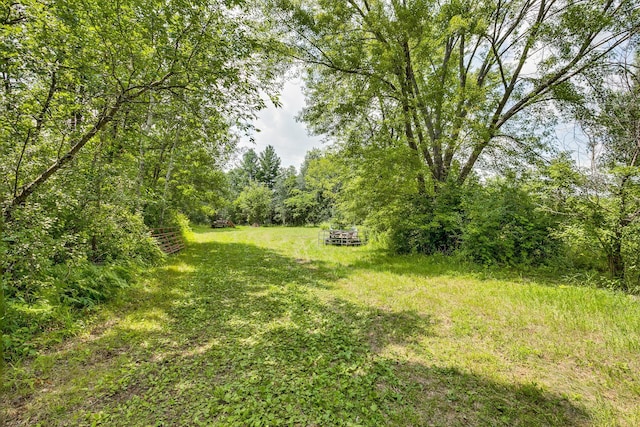 10188 Blueberry Trl, Rushseba Twp, MN 55069 - photo 6