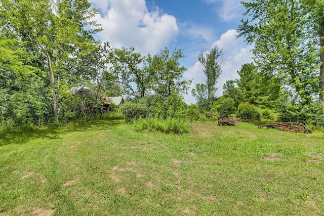 10188 Blueberry Trl, Rushseba Twp, MN 55069 - photo 7