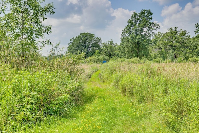 10188 Blueberry Trl, Rushseba Twp, MN 55069 - photo 8