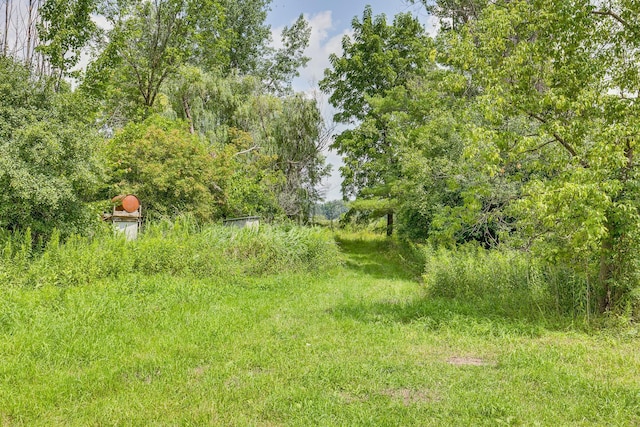 10188 Blueberry Trl, Rushseba Twp, MN 55069 - photo 10