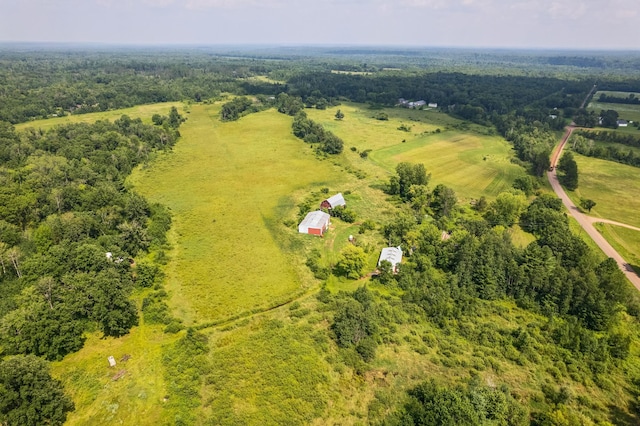 10188 Blueberry Trl, Rushseba Twp, MN 55069 - photo 11