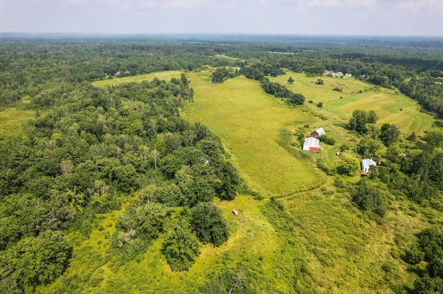 10188 Blueberry Trl, Rushseba Twp, MN 55069 - photo 13