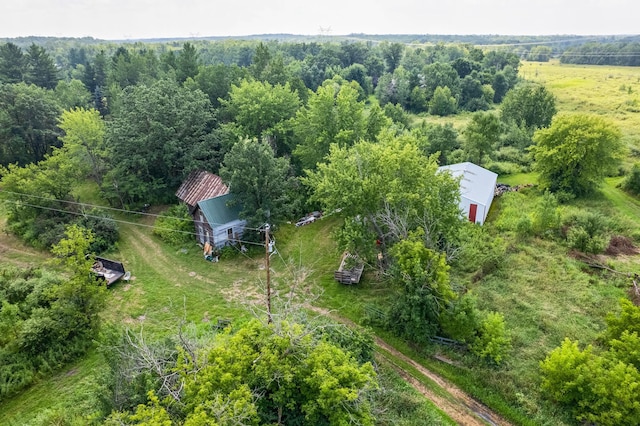 10188 Blueberry Trl, Rushseba Twp, MN 55069 - photo 17