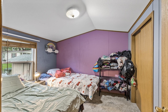2401 Bison Dr, Maplewood, MN 55119 - photo 22