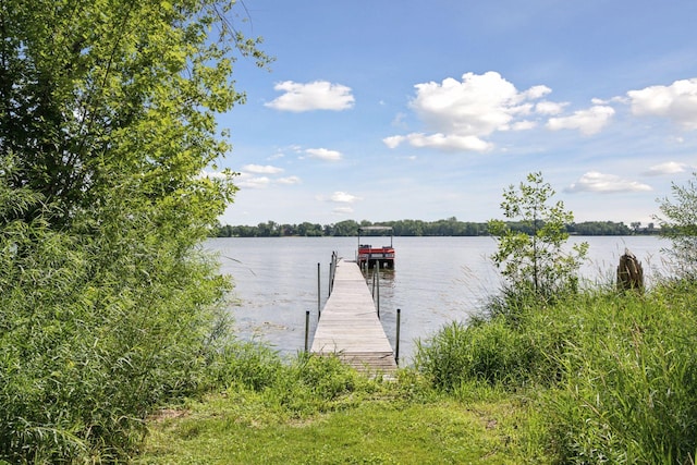 51823 Birch Ave, Nessel Twp, MN 55069 - photo 2