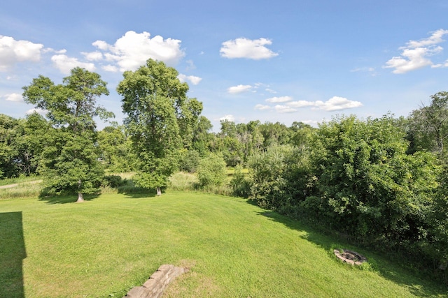 51823 Birch Ave, Nessel Twp, MN 55069 - photo 28