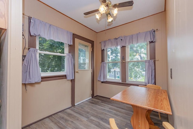 902 White St, Jackson, MN 56143 - photo 5