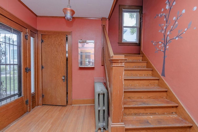 902 White St, Jackson, MN 56143 - photo 17