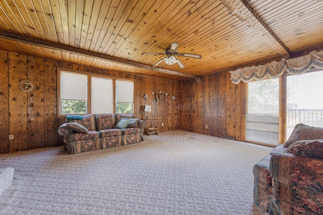 47213 800th St, Lakefield, MN 56150 - photo 27